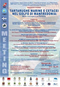 Manifesto tartarughe marine e cetacei nel golfo di manfredonia