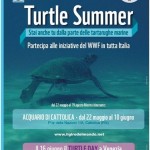 Locandina Turtle Summer 2012