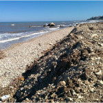 AREA di stoccaggio dei detriti di Rodigarganico